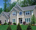 Vinyl Siding